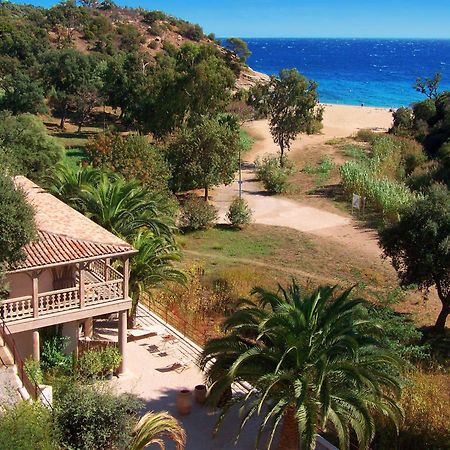 Le Clos Des Sept Palmiers Cavalaire-sur-Mer Exterior foto