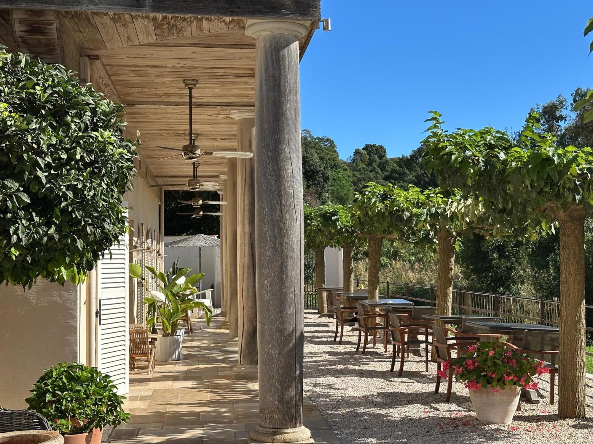 Le Clos Des Sept Palmiers Cavalaire-sur-Mer Exterior foto