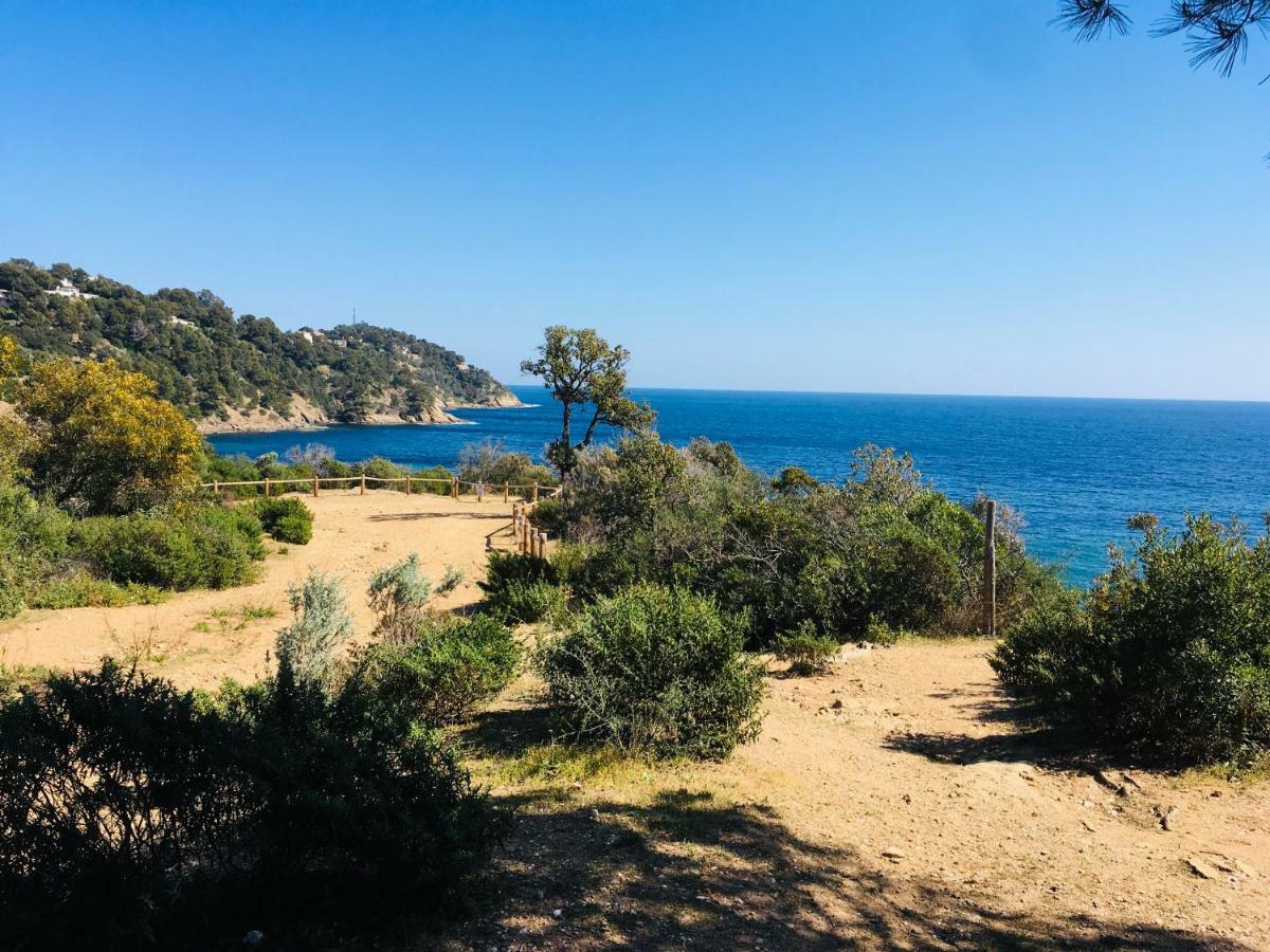 Le Clos Des Sept Palmiers Cavalaire-sur-Mer Exterior foto